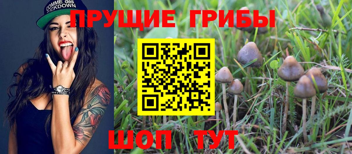 Меф   МАРИХУАНА  МДМА  NBOMe  Альфа ПВП СОЛЬ кристаллы  Меф МЯУ МЯУ  ГАШИШ  Вход с VPN  Горячий Ключ  COCAIN 