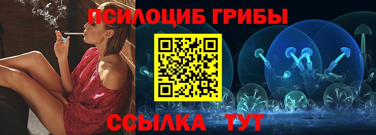 Псилоцибиновые грибы Psilocybine cubensis Горячий Ключ